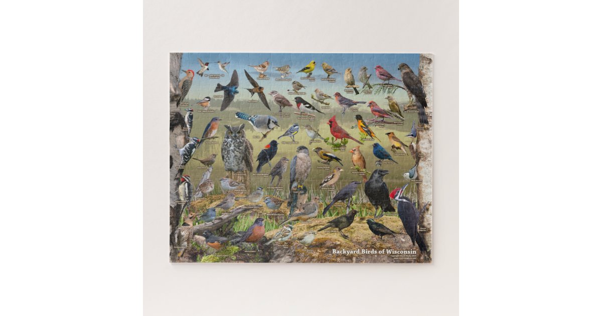 Backyard Birds of Wisconsin Jigsaw Puzzle | Zazzle