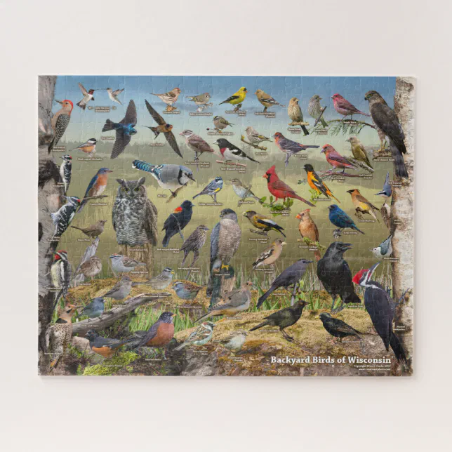 Backyard Birds of Wisconsin Jigsaw Puzzle | Zazzle