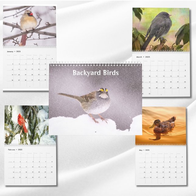 Backyard Birds Photos & Art Calendar (Creator Uploaded)