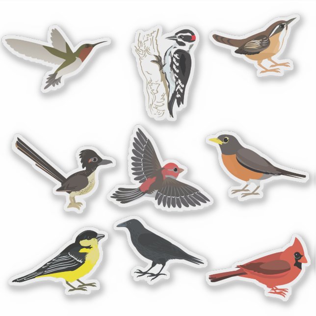 Backyard Birds Sticker Set (Front)