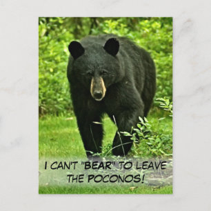Backyard Black Bear "Can't Bear to Leave!" Postcard