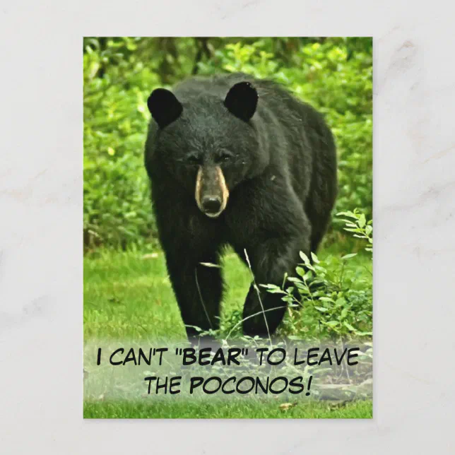 Amazing Can A 45 Stop A Bear Image for Desktop Amazing Can A 45 Stop A Bear Image for Desktop