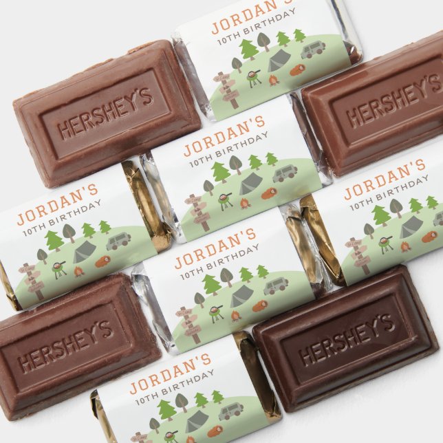 Backyard Camping Birthday Boys Party Outdoors Hershey's Miniatures (Assorted)