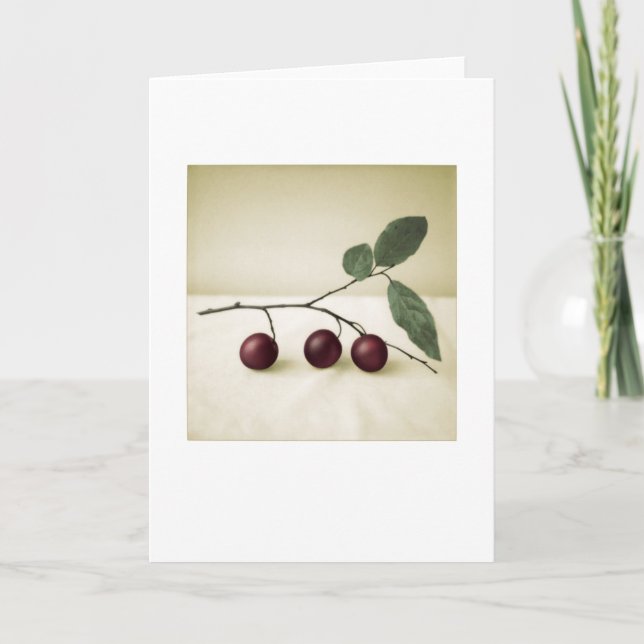 Backyard Cherry Plums Photo Painting Greeting Card (Front)