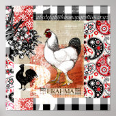 Backyard Chickens B is for Brahma  Poster (Front)