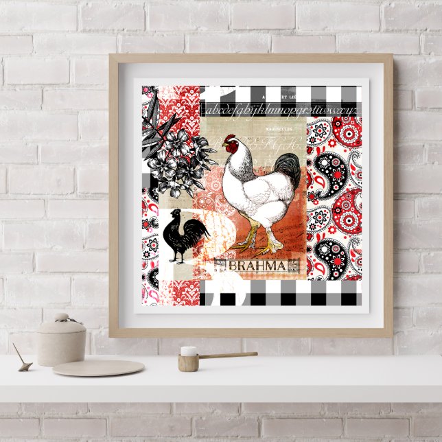 Backyard Chickens B is for Brahma  Poster