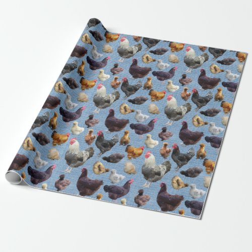 Backyard Chickens Blue Burlap  Wrapping Paper