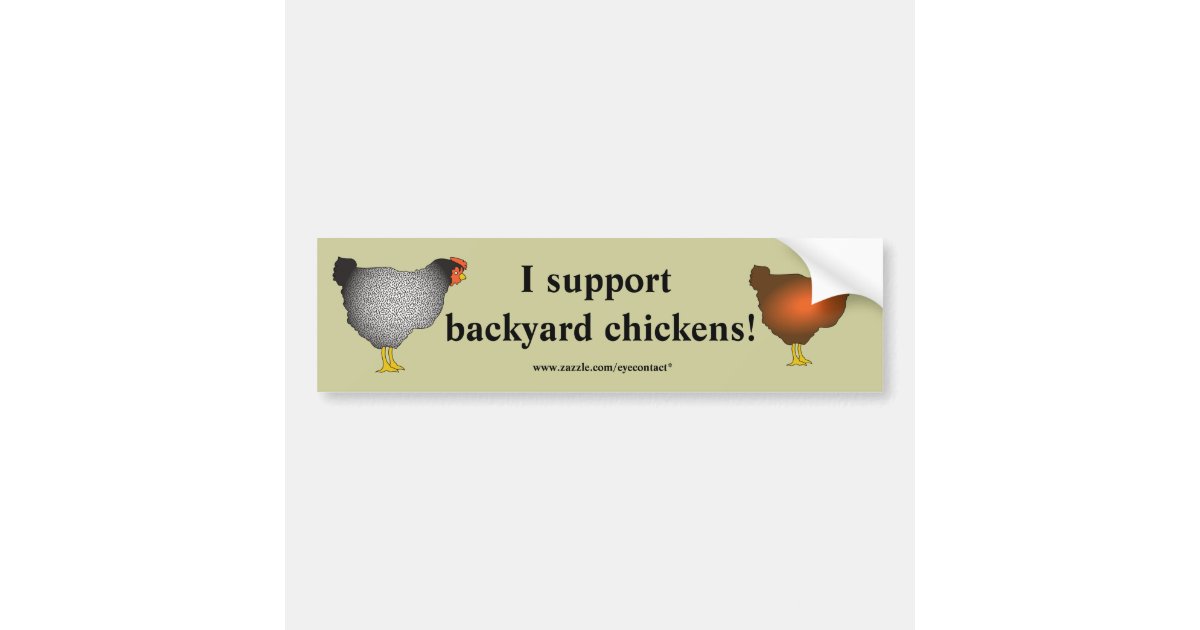 Backyard Chickens Bumper Sticker Zazzle