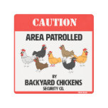 Backyard Chickens Security Company Metal Print at Zazzle
