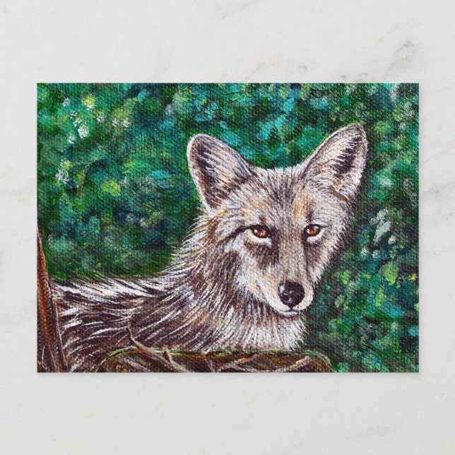 Backyard Coyote Painting Postcard (Front)