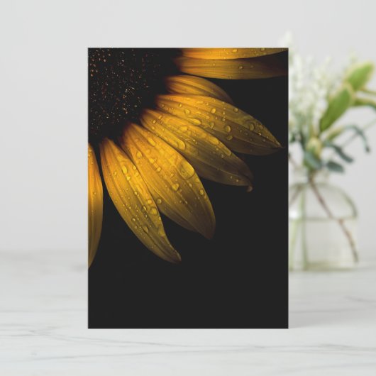 Backyard Flowers 28 Sunflower (Standing Front)