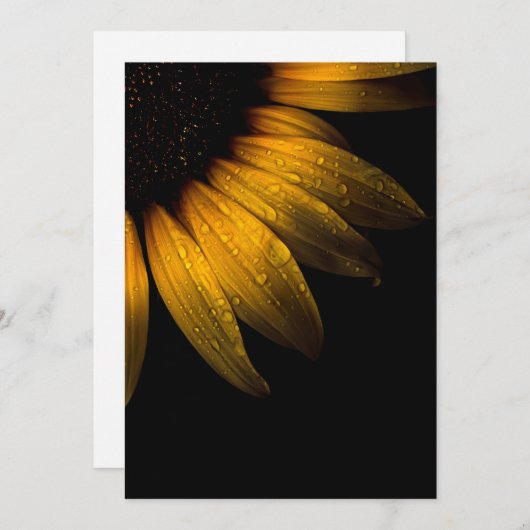 Backyard Flowers 28 Sunflower (Front/Back)