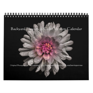 Backyard Flowers 91 Color Version Calendar