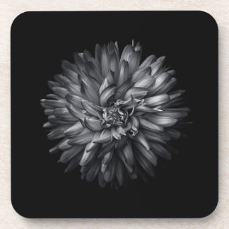 Backyard Flowers In Black And White 20 Beverage Coaster