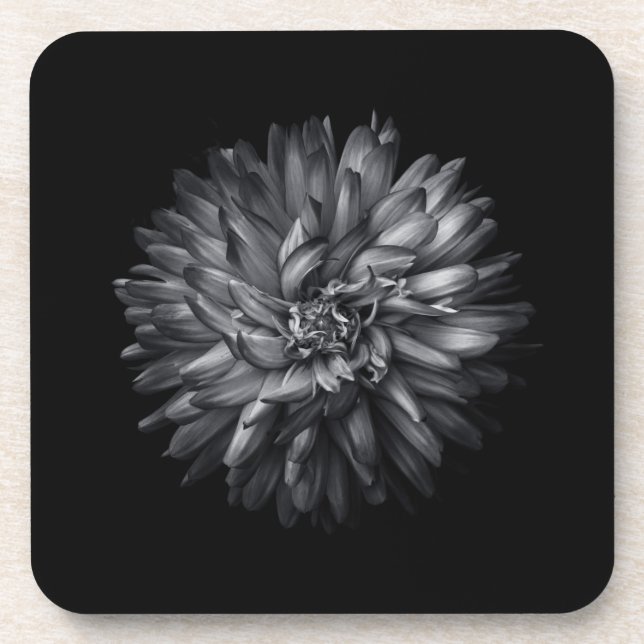 Backyard Flowers In Black And White 20 Beverage Coaster (Front)