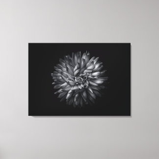 Backyard Flowers In Black And White 20 Canvas Print