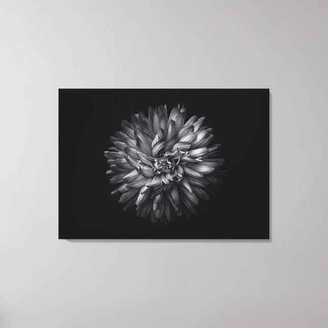 Backyard Flowers In Black And White 20 Canvas Print (Front)