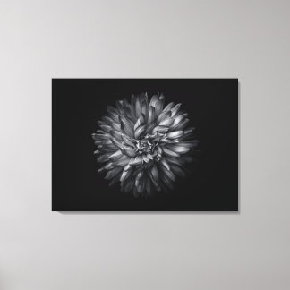 Backyard Flowers In Black And White 20 Canvas Print