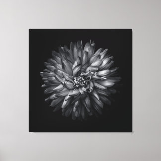 Backyard Flowers In Black And White 20 Canvas Print