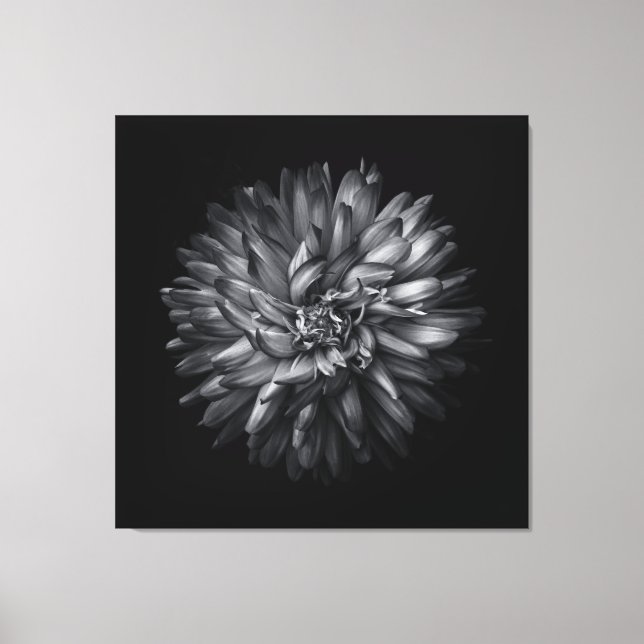 Backyard Flowers In Black And White 20 Canvas Print (Front)