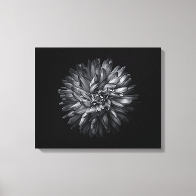 Backyard Flowers In Black And White 20 Canvas Print (Front)