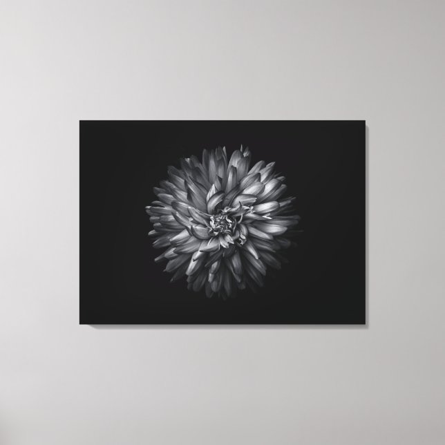 Backyard Flowers In Black And White 20 Canvas Print (Front)