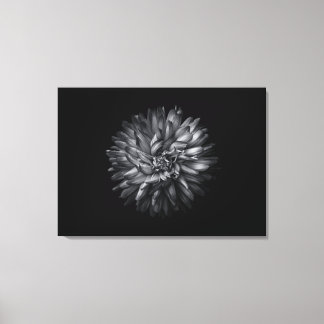 Backyard Flowers In Black And White 20 Canvas Print