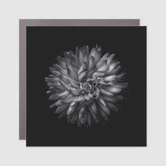 Backyard Flowers In Black And White 20 Car Magnet
