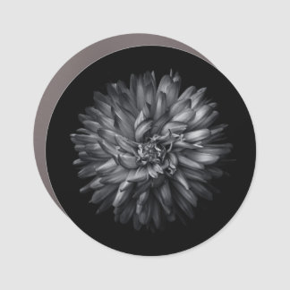 Backyard Flowers In Black And White 20 Car Magnet