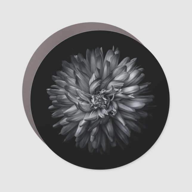 Backyard Flowers In Black And White 20 Car Magnet (Front)