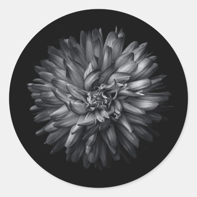 Backyard Flowers In Black And White 20 Classic Round Sticker (Front)