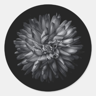 Backyard Flowers In Black And White 20 Classic Round Sticker