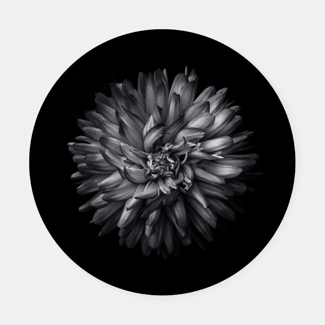 Backyard Flowers In Black And White 20 Coaster Set (Single)