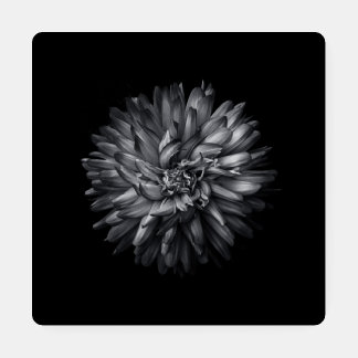 Backyard Flowers In Black And White 20 Coaster Set