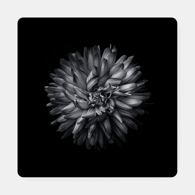 Backyard Flowers In Black And White 20 Coaster Set (Single)