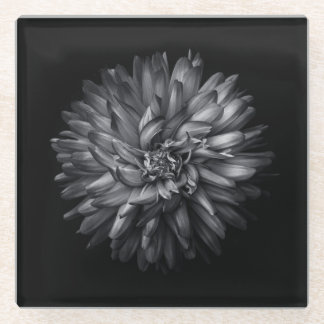 Backyard Flowers In Black And White 20 Glass Coaster