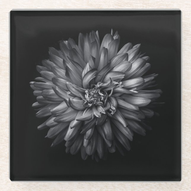 Backyard Flowers In Black And White 20 Glass Coaster (Front)