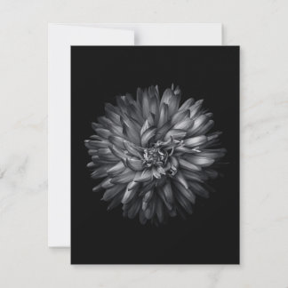 Backyard Flowers In Black And White 20 Holiday Card