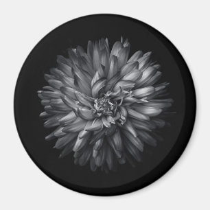 Backyard Flowers In Black And White 20 Magnet