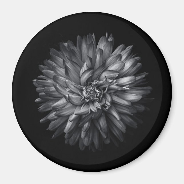 Backyard Flowers In Black And White 20 Magnet (Front)