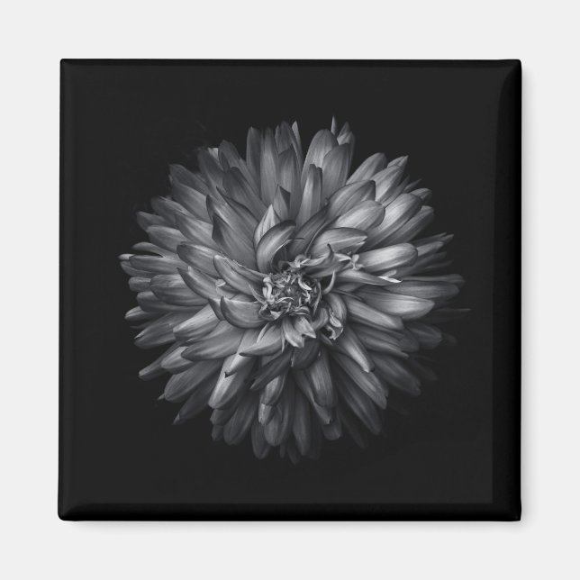 Backyard Flowers In Black And White 20 Magnet (Front)