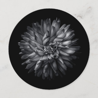 Backyard Flowers In Black And White 20 Menu