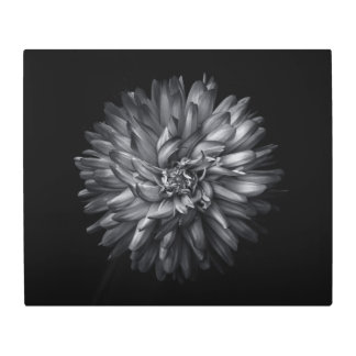 Backyard Flowers In Black And White 20 Metal Print