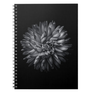 Backyard Flowers In Black And White 20 Notebook