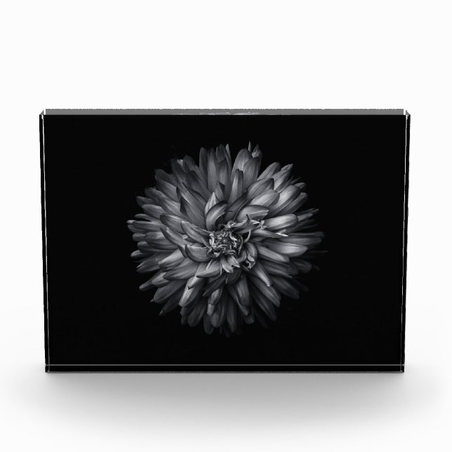 Backyard Flowers In Black And White 20 Photo Block (Front)