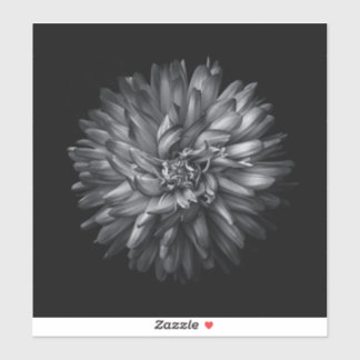 Backyard Flowers In Black And White 20 Sticker