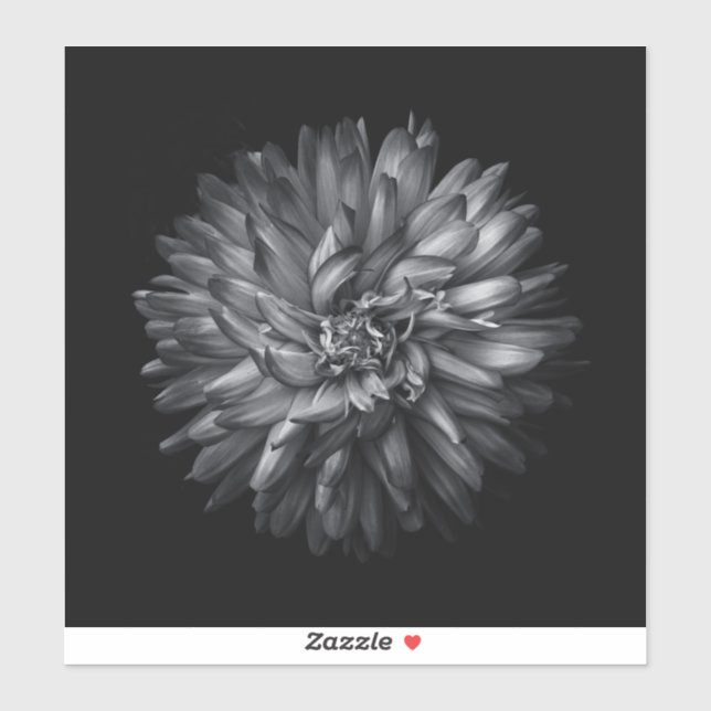 Backyard Flowers In Black And White 20 Sticker (Sheet)