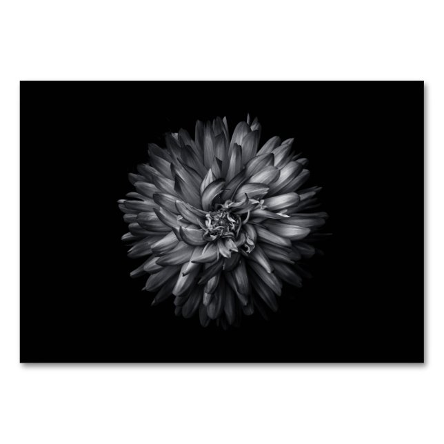 Backyard Flowers In Black And White 20 Table Number (Front)