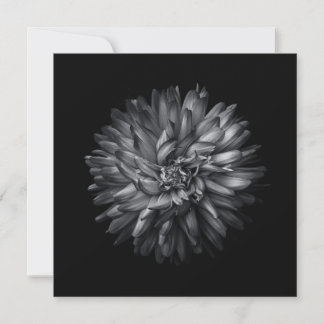 Backyard Flowers In Black And White 20 Thank You Card