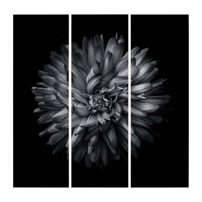 Backyard Flowers In Black And White 20 Triptych (Front)